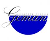 Logo Item